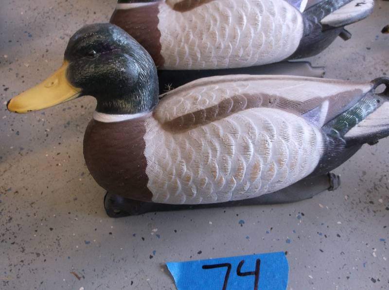 DUCK DECOYS