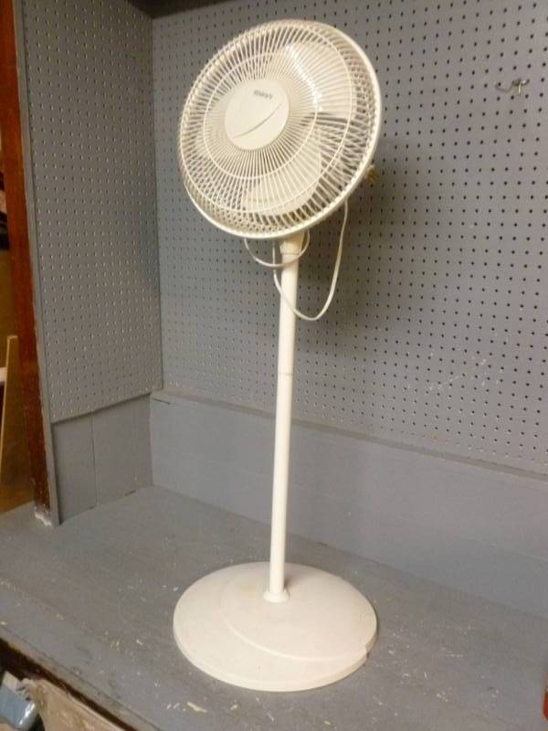 Fan