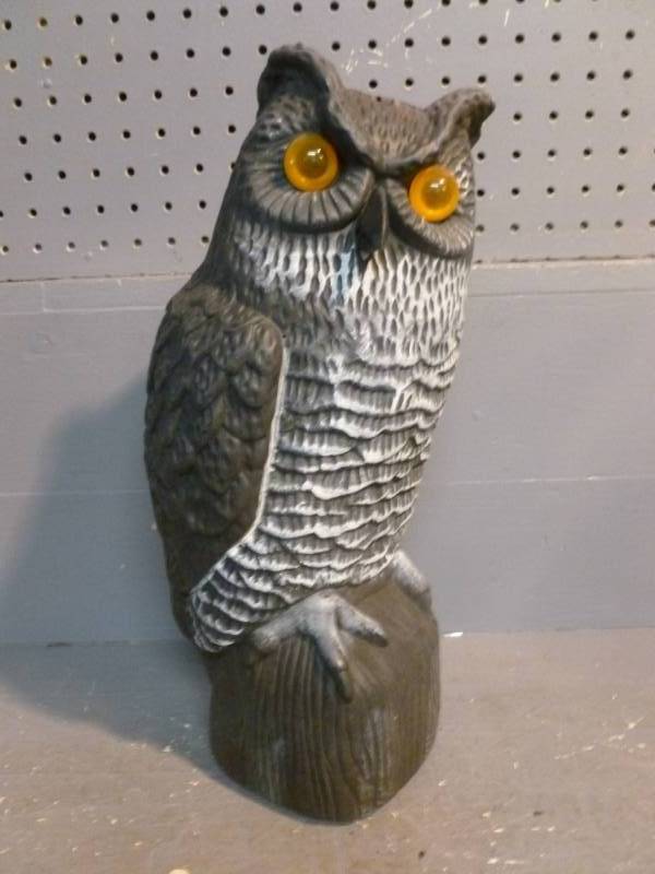 Owl Decoy