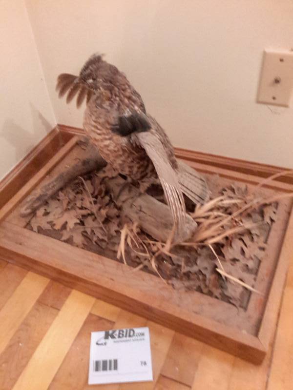 lot 78 image: Stuffed Grouse on a Bed of Leaves