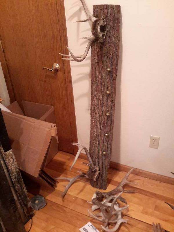 lot 83 image: Bark Coat Rack with Antler End Pieces, 5 Other Antlers
