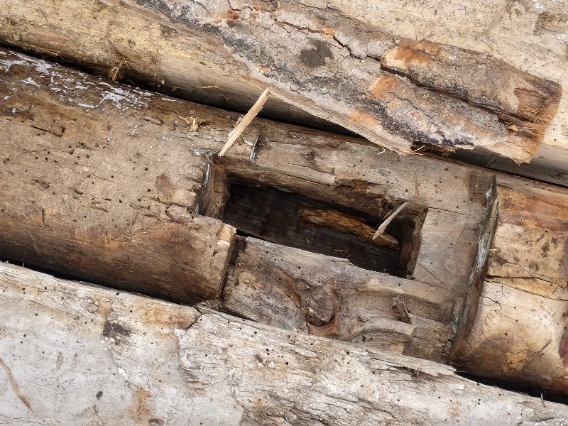 Antique Hand&nbspHewn Butternut Walnut Wood Beams From Barn From 1880s (11 Beams)