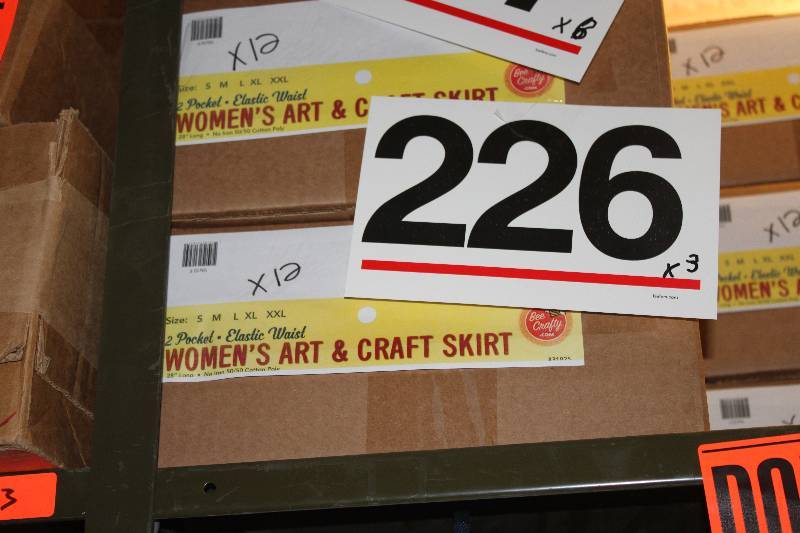 36 Assorted Womens Art & Craft Skirt in Retail Packaging