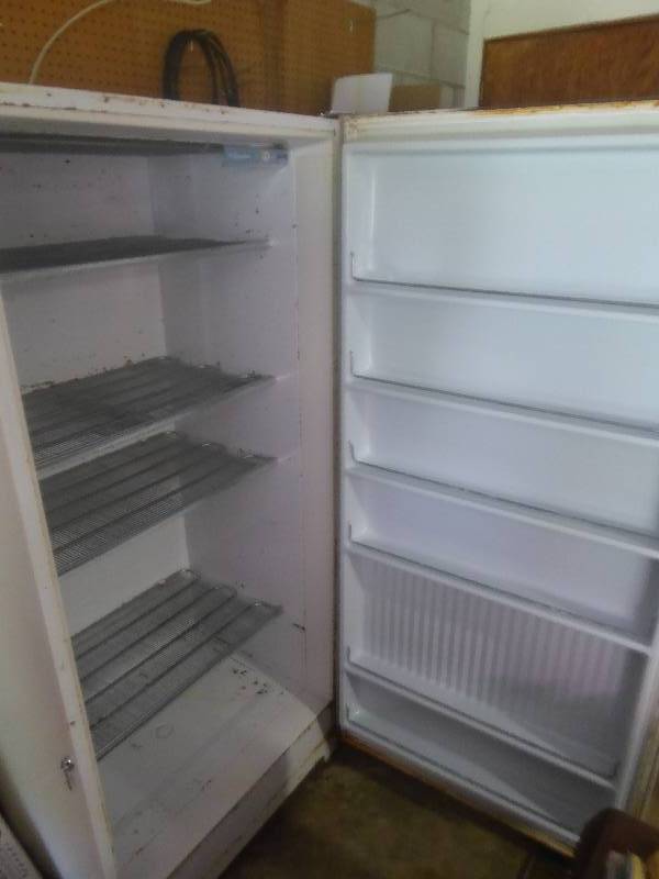 lot 5 image: Signature Upright Freezer