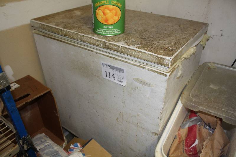 lot 114 image: Frigidaire Commercial Freezer