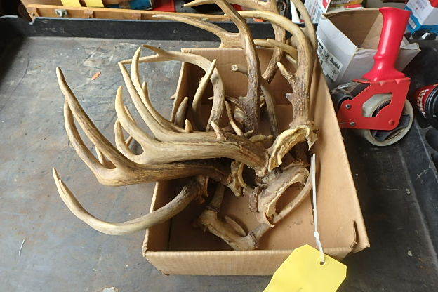 Antlers