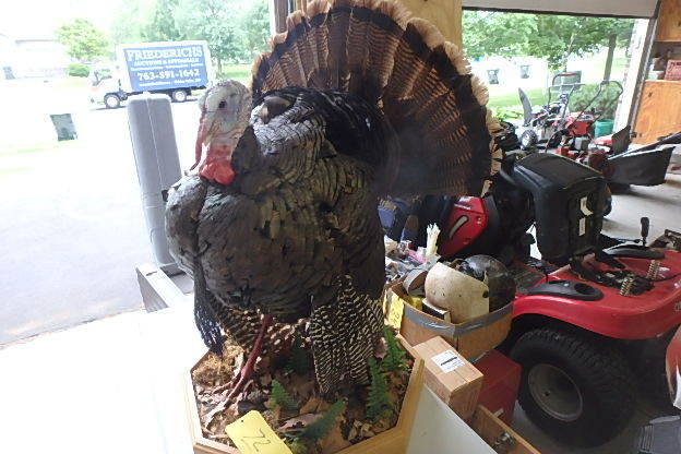 Turkey Mount