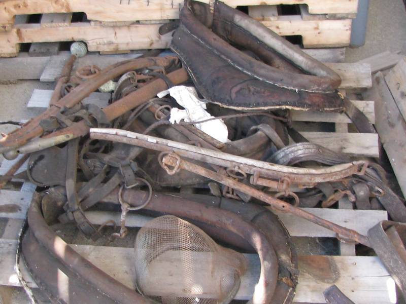 lot 5 image: Horse Collars & Hames