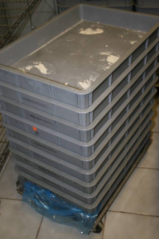 lot 84 image: Plastic Trays