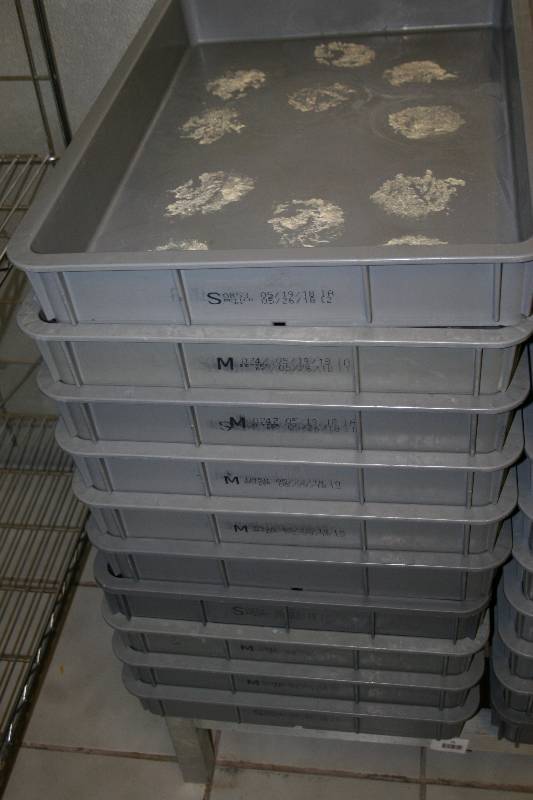 lot 88 image: Plastic Trays