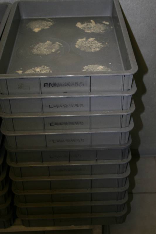 lot 90 image: Plastic Trays