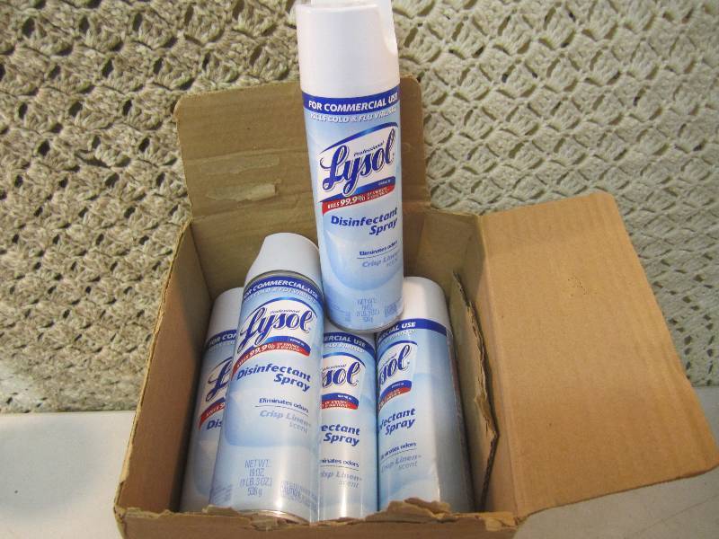lot 124 image: Case with 11 Big Cans of Lysol Disi...