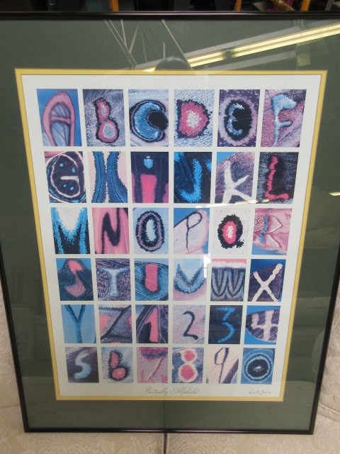 lot 922 image: FRAMED PRINT BY ARTIST KJELL SANDVED