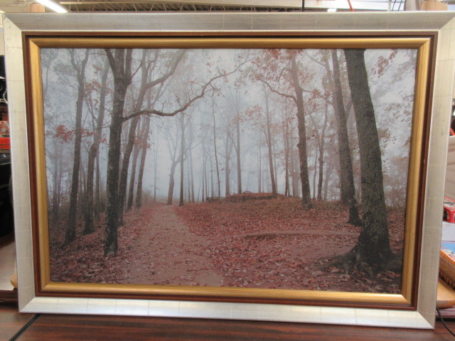 lot 977 image: FRAMED NATURE PRINT ON CANVAS