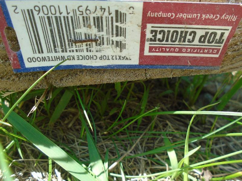 Lumber