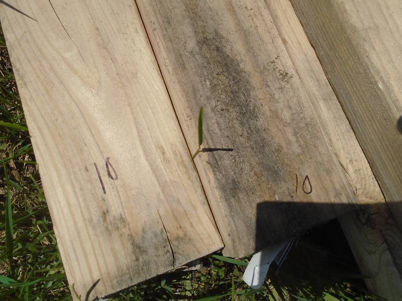 Lumber
