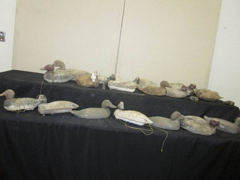lot 16 image: 19 Wooden Duck Decoys