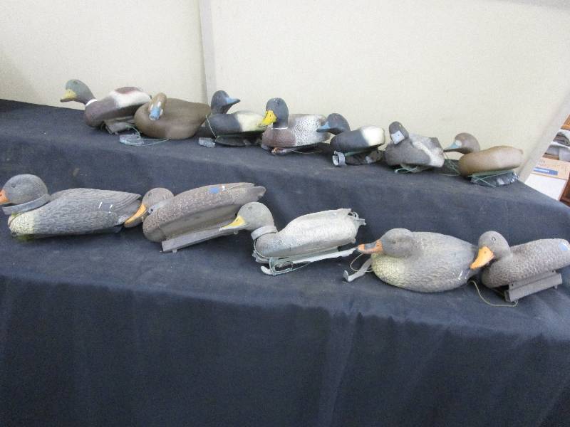 lot 65 image: 12 PLastic Duck Decoys