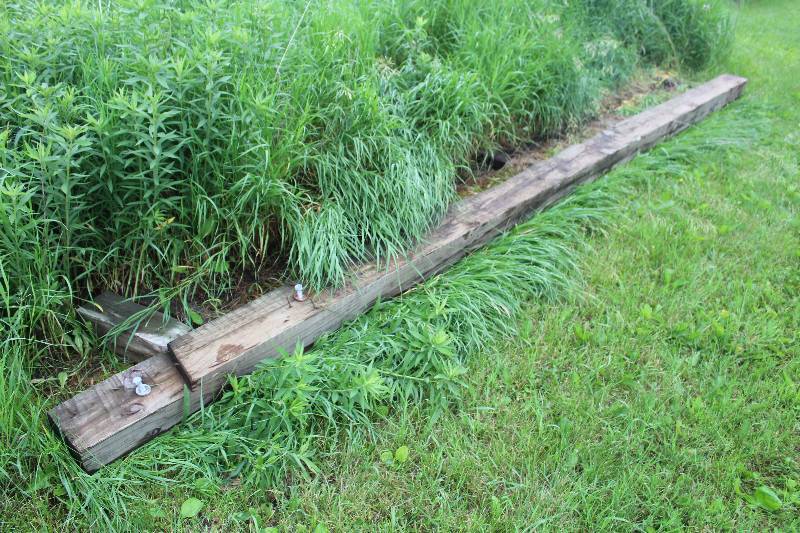 lot 501 image: Lot of (4) Green treated Wood Boards
