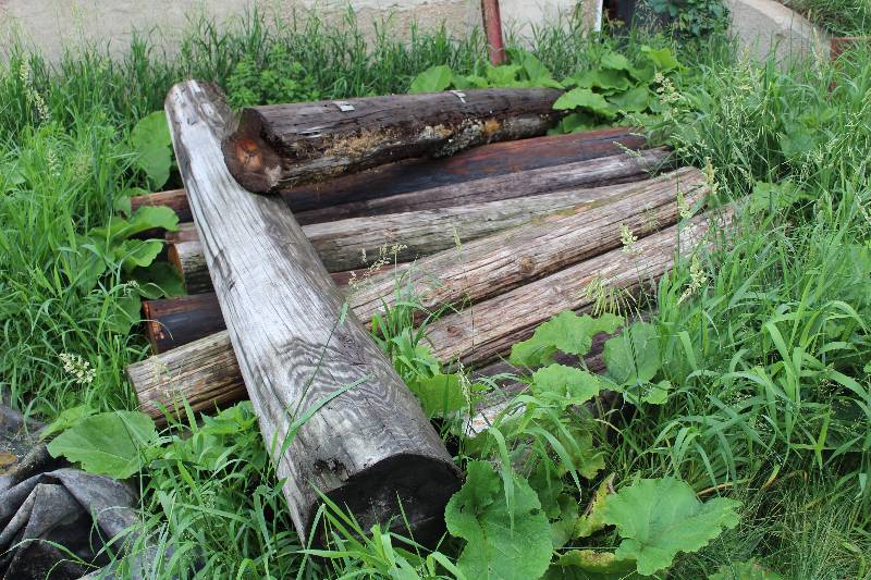 lot 502 image: Lot of (10) Commercial Wood Power Poles