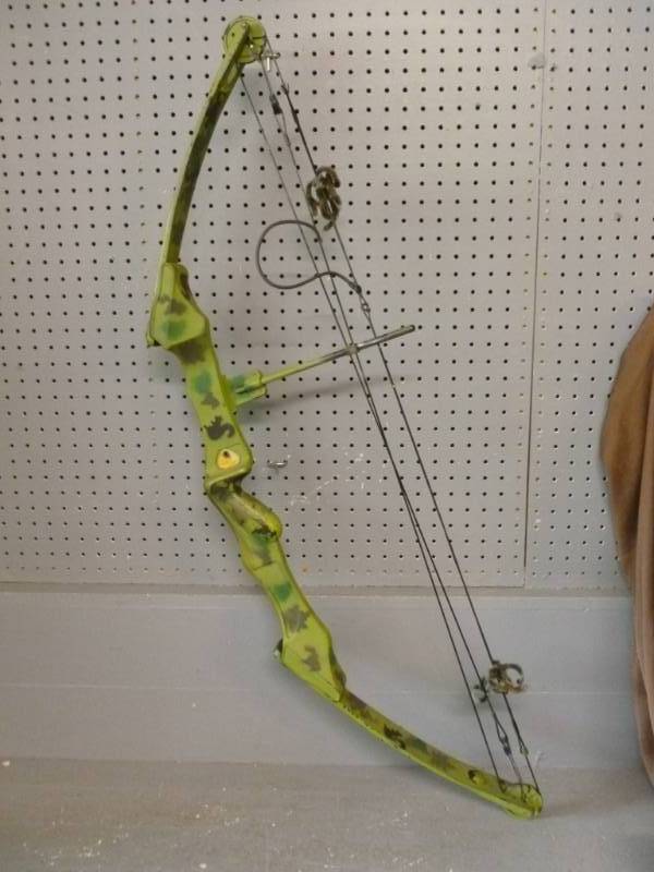Compound Bow