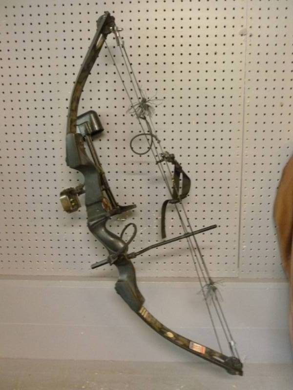 Compound Bow