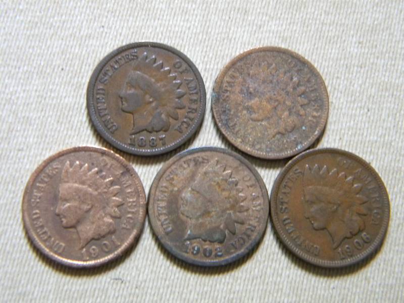 5 Indian Head Pennies