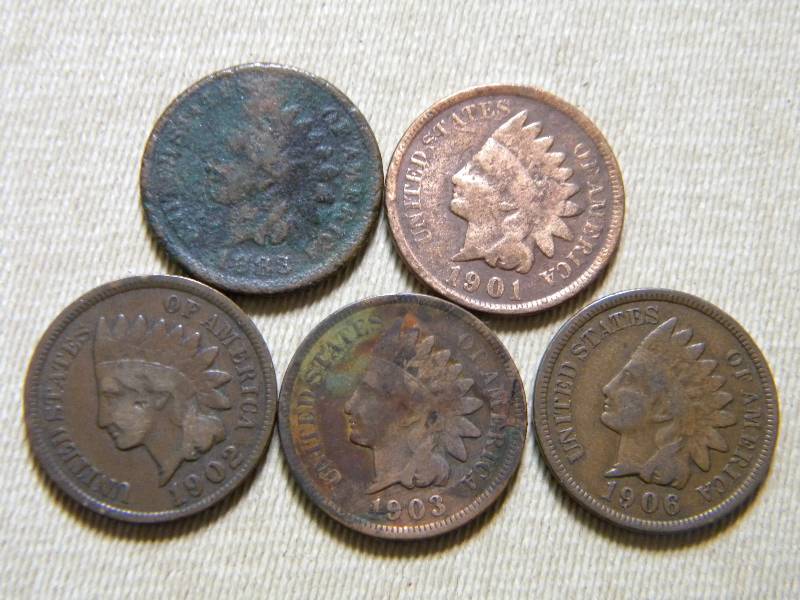 5 Indian Head Pennies