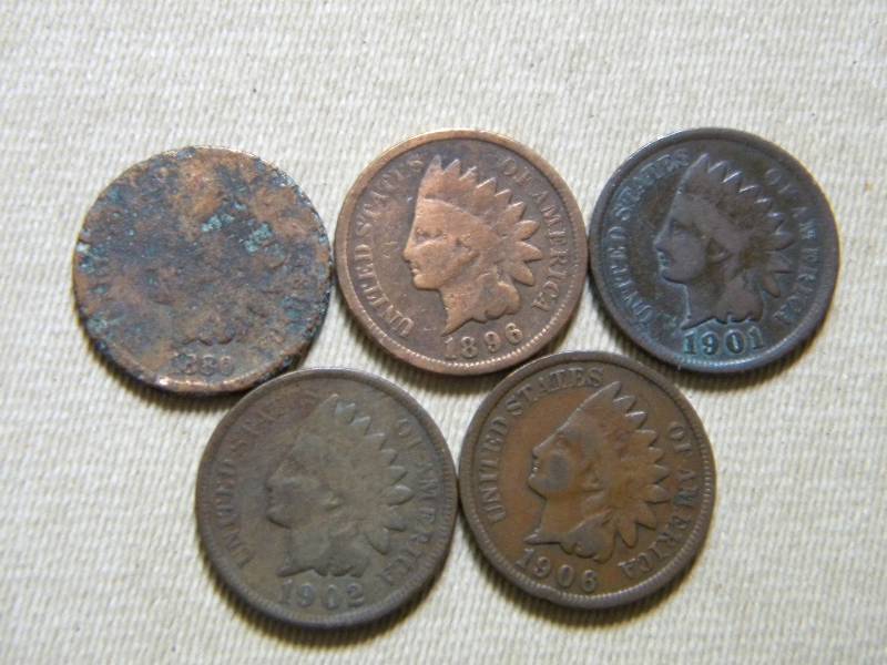 5 Indian Head Pennies