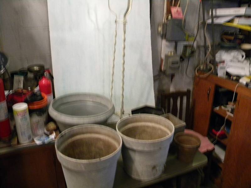 Metal Plant Stand & Pots