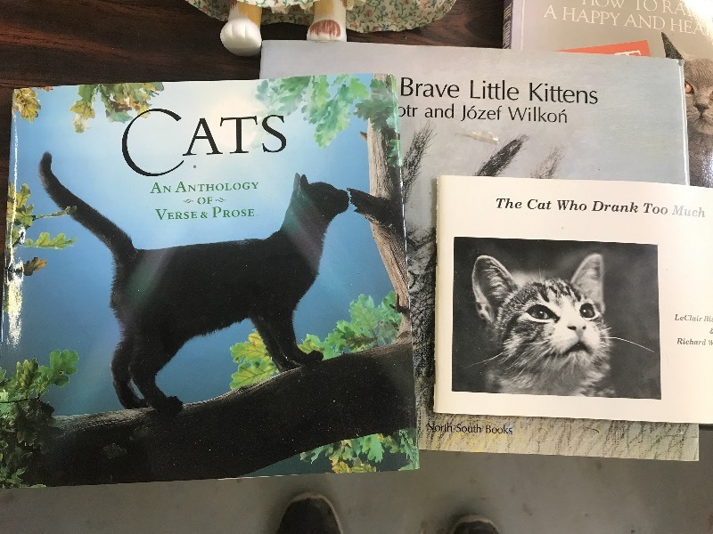 CAT LOVERS LOT