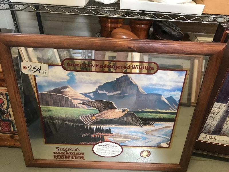 LOT OF WILDLIFE PICTURES