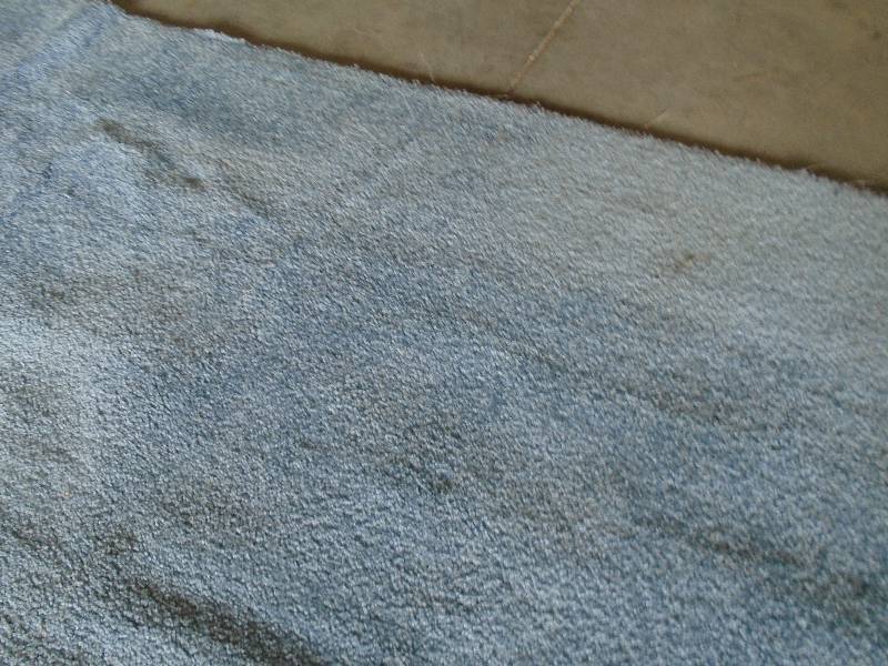 Carpet