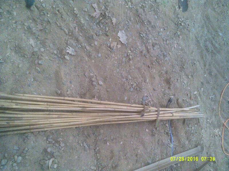 BAMBOO POLES