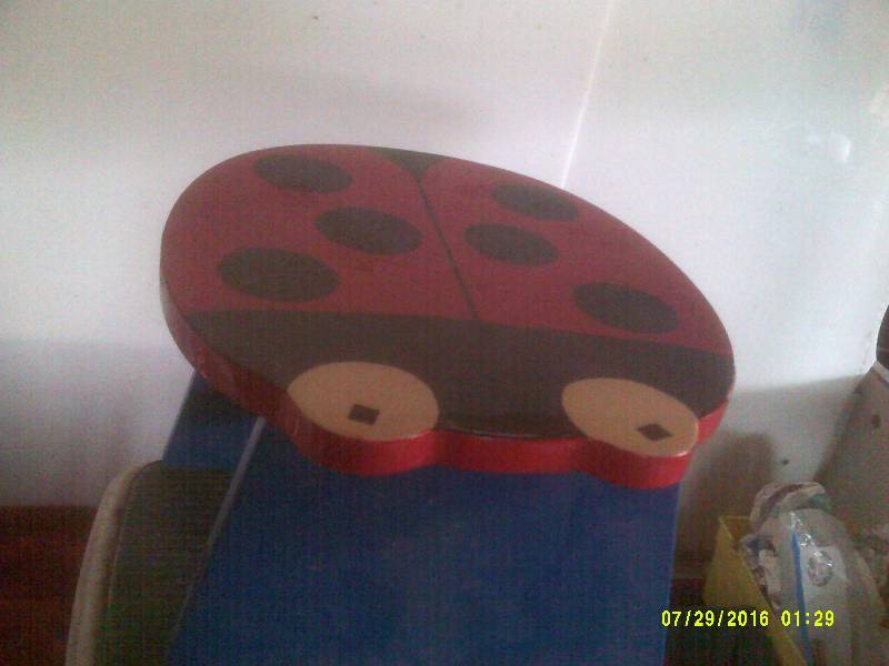 2 STEP STOOLS