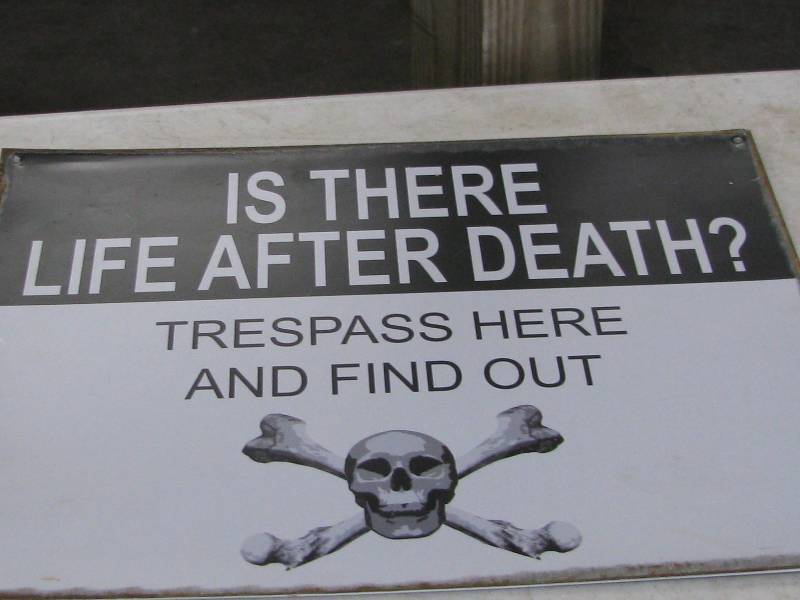 lot 86 image: Life After Death Sign