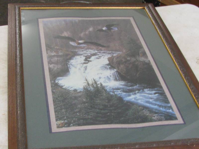 lot 113 image: Framed Eagle Print