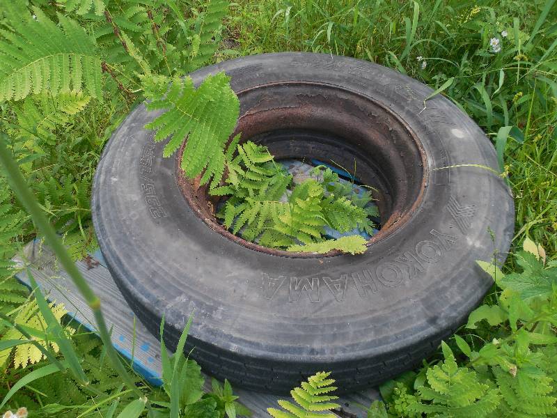 lot 45 image: Semi Truck Tire & Rim 22.5