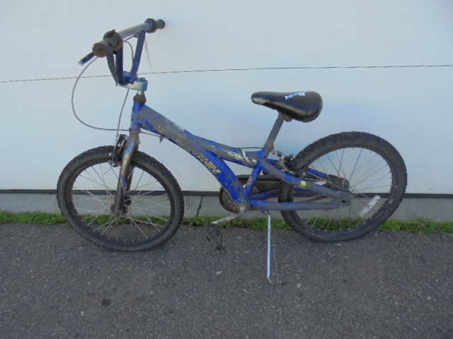 Schwinn Bicycle