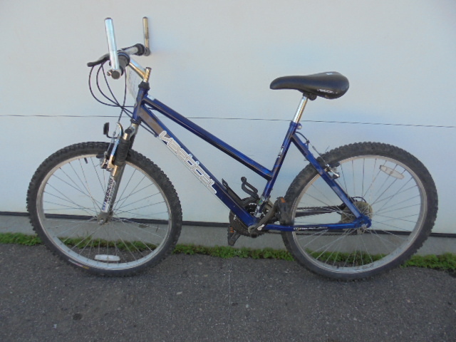 Vertical Trail Bicycle