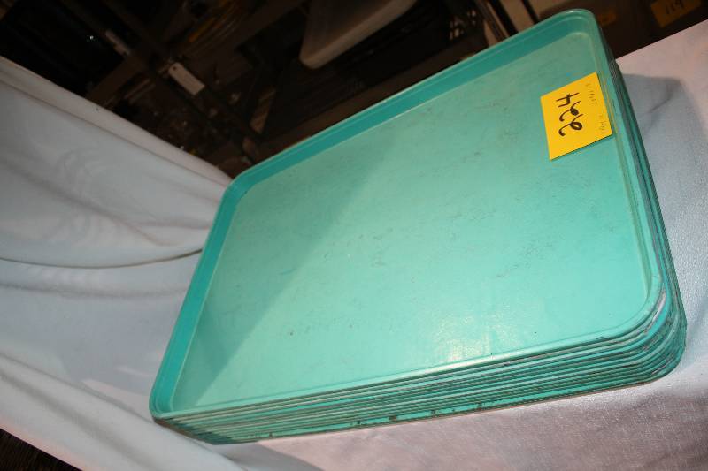 lot 224 image: Platic Trays 25 34 x 18