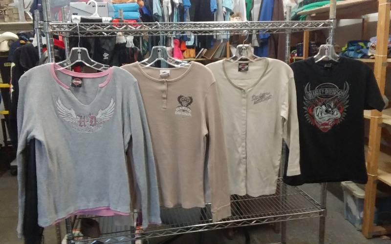 lot 14 image: 4-Ladies Harley Davidson T-Shirts Size L