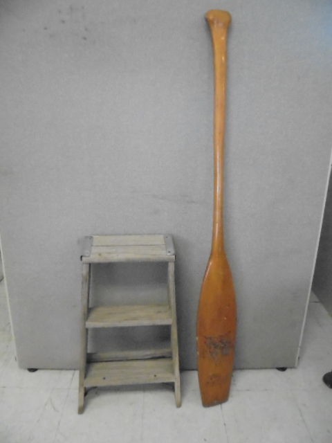 Paddle and Step Ladder