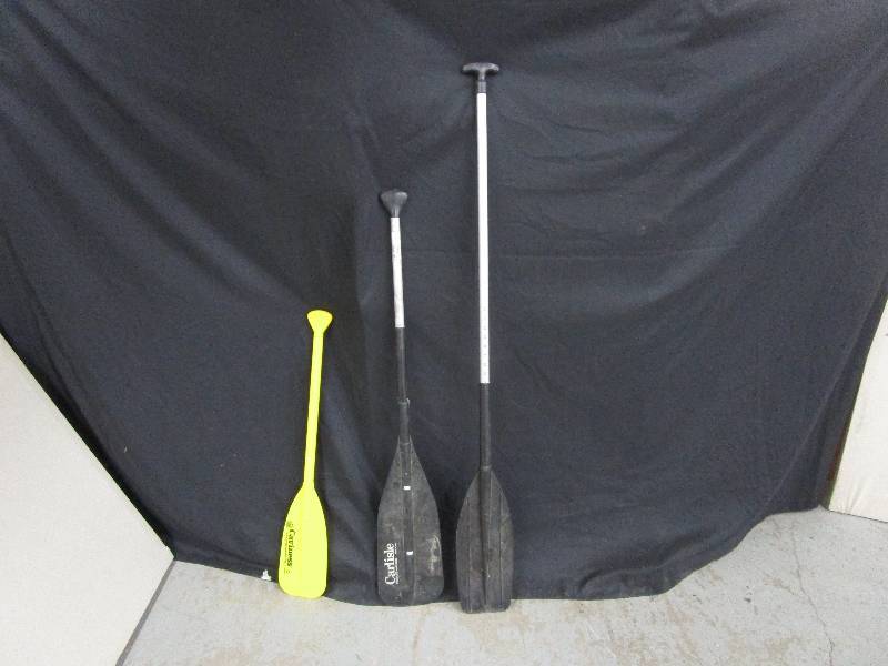 lot 97 image: 3 Paddles