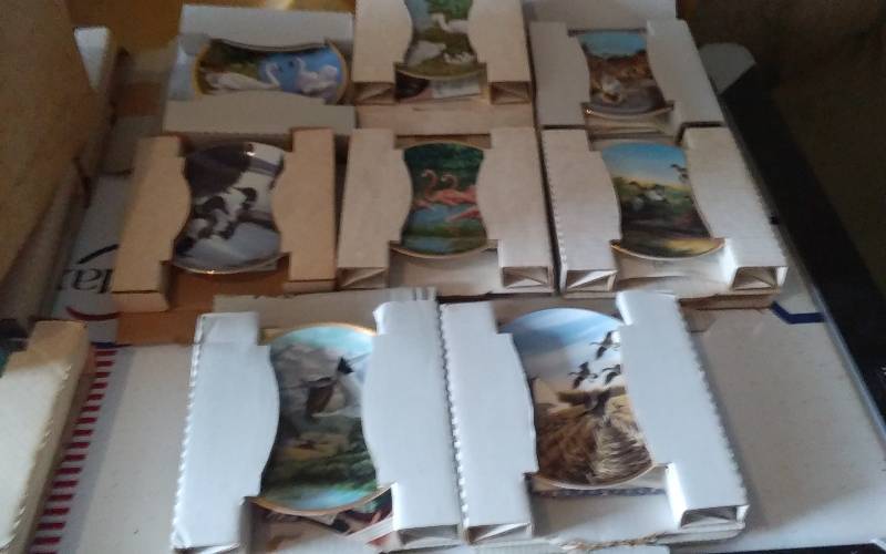 8-Ducks Unlimited Collector Plates-Elegant Bird Series