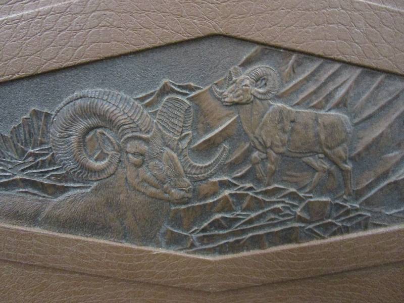 lot 11 image: MULTI GUN HARD SIDED GUN CASE