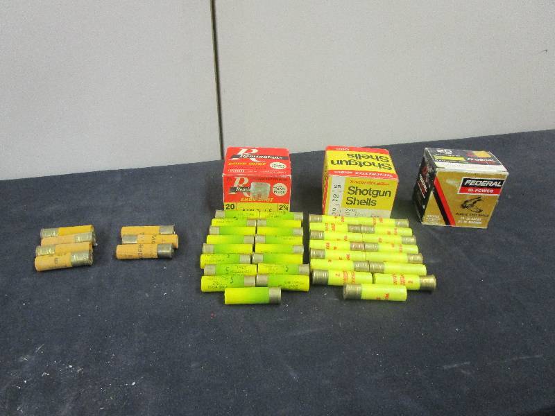 lot 18 image: 20 GAUGE SHOT GUN SHELLS 1 FULL BOX AND 2 PARTIALS