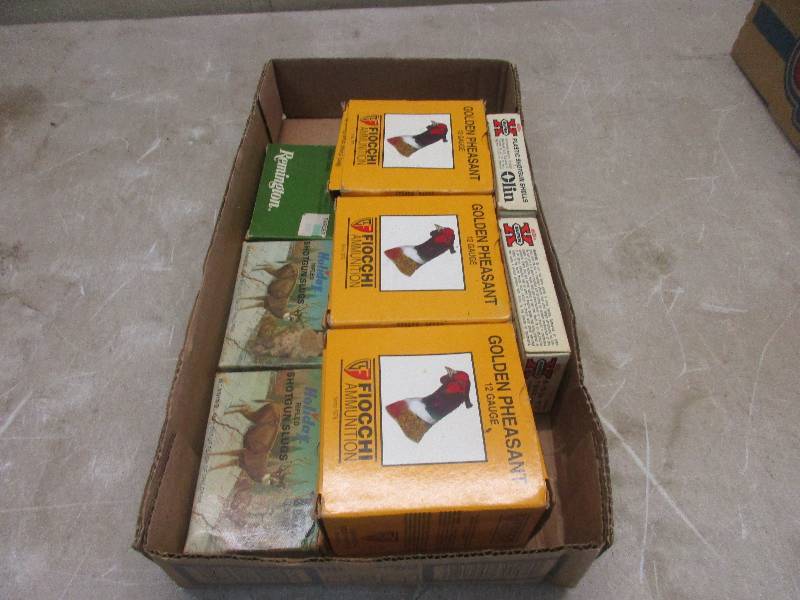 12 Ga Ammo