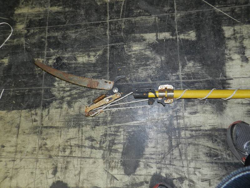 lot 550 image: TREE BRANCH TRIMMERPOLE SAW