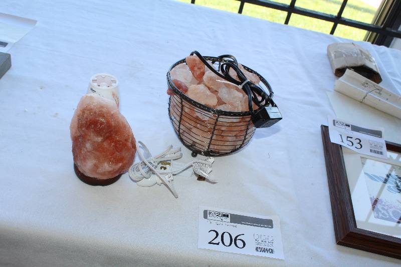 lot 206 image: Lot of (2) Salt Rock Dcor Table Lamps